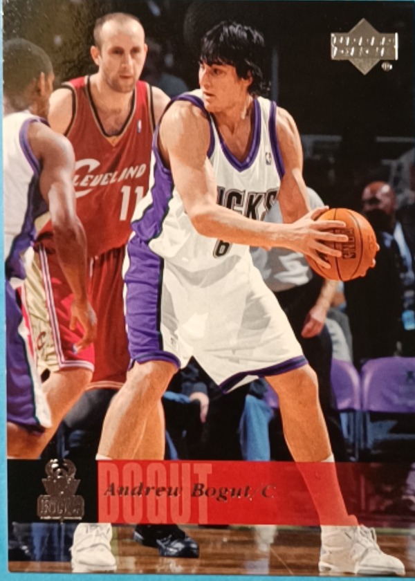 Andrew Bogut