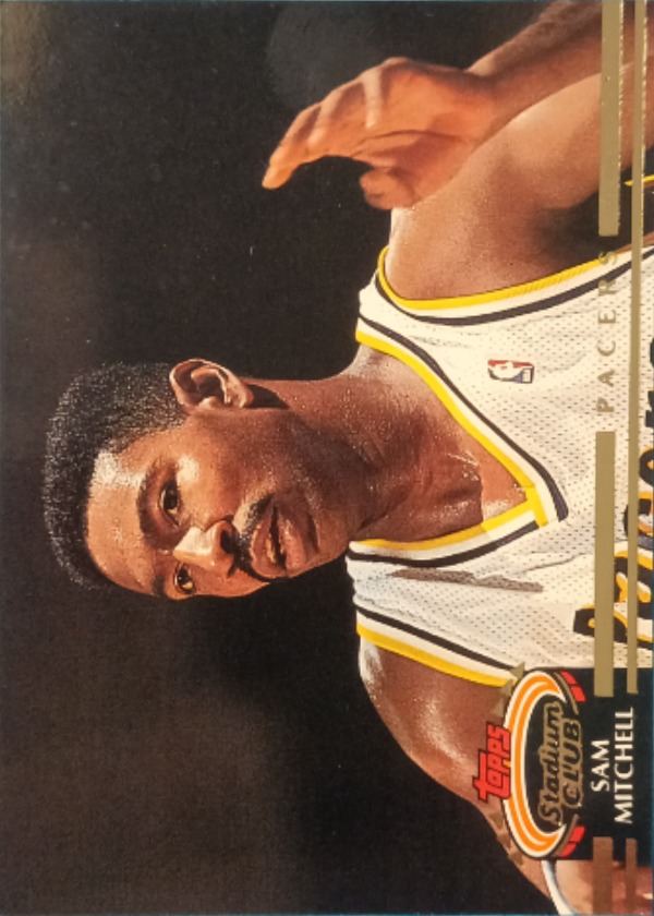 Sam Mitchell