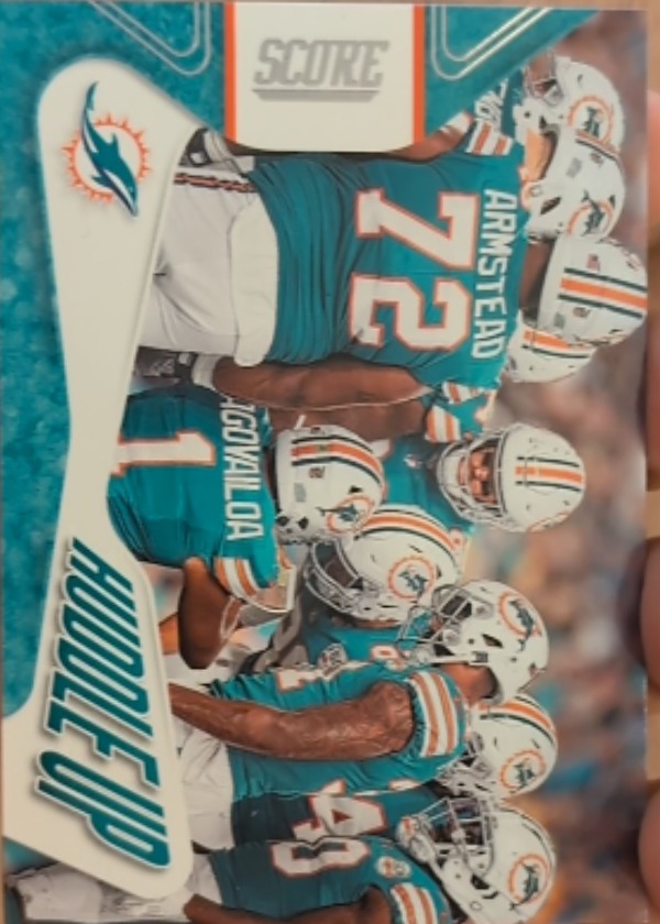 Miami Dolphins Team