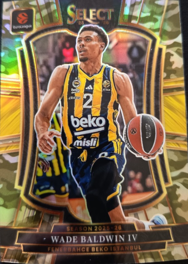 Wade Baldwin IV