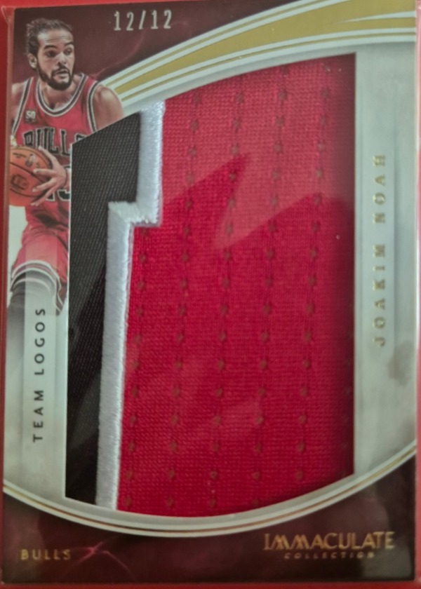 Joakim Noah