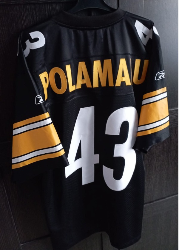 Troy Polamalu