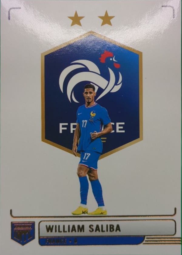William Saliba