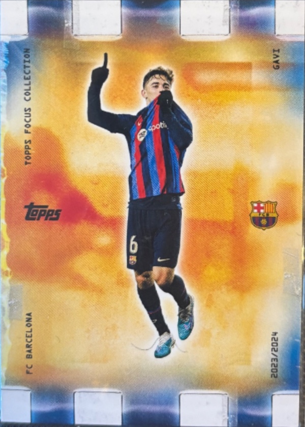 Gavi