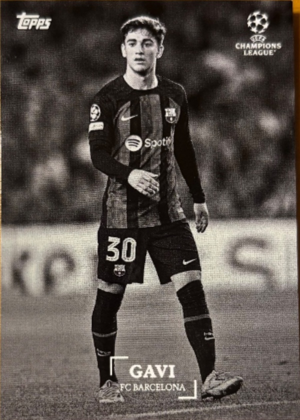 Gavi