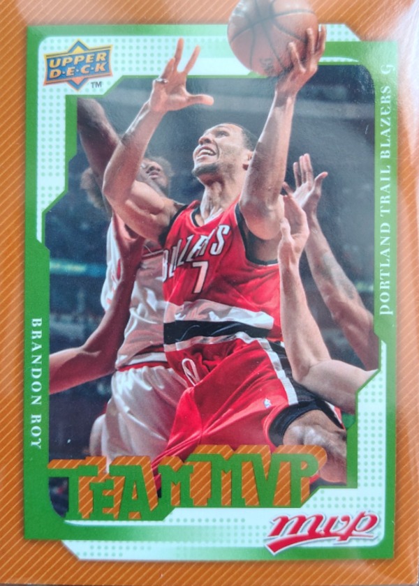 Brandon Roy