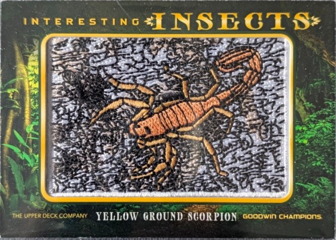 Yellow Ground Scorpion