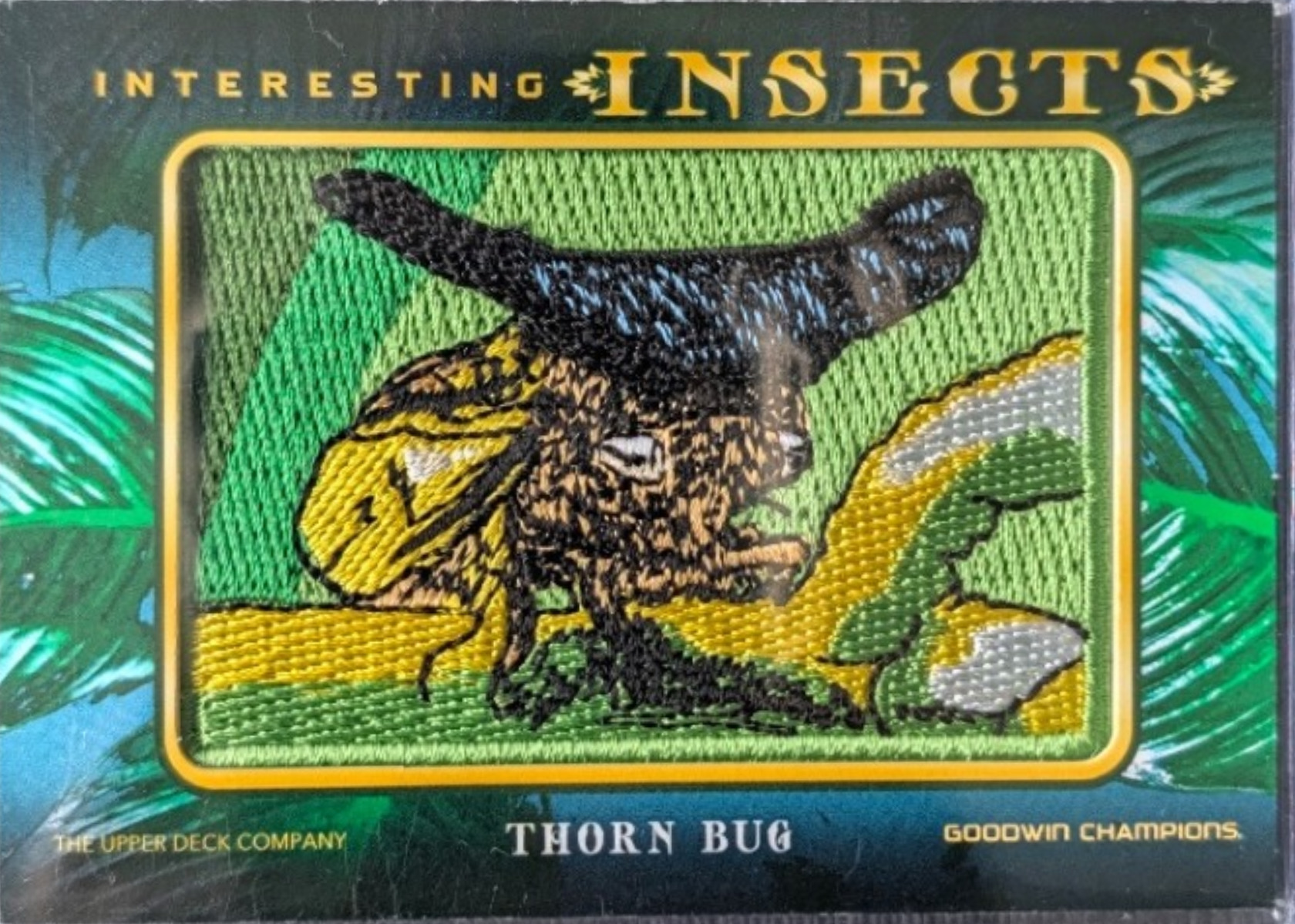Thorn Bug