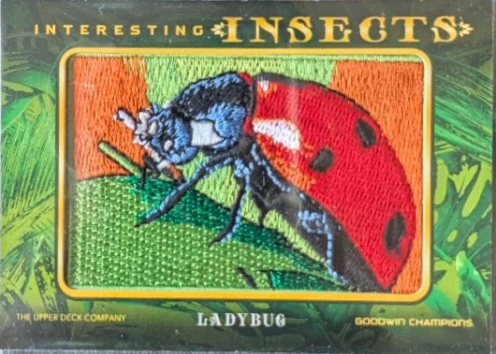 Ladybug