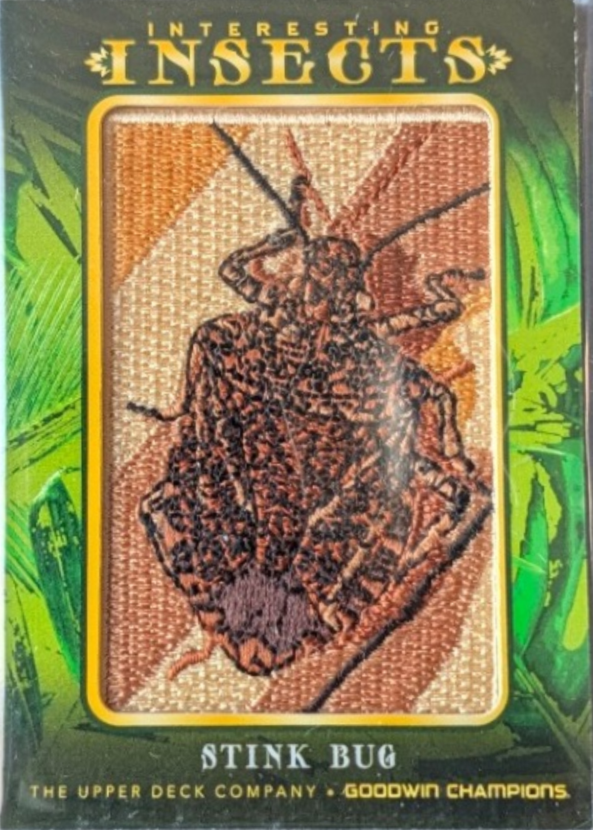 Stink Bug