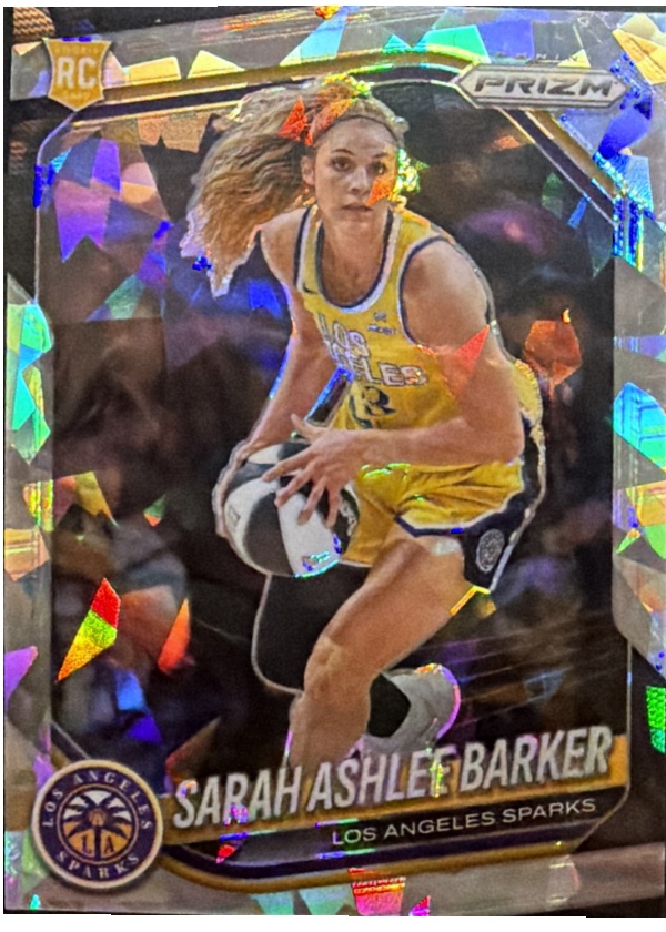 Sarah Ashlee Barker